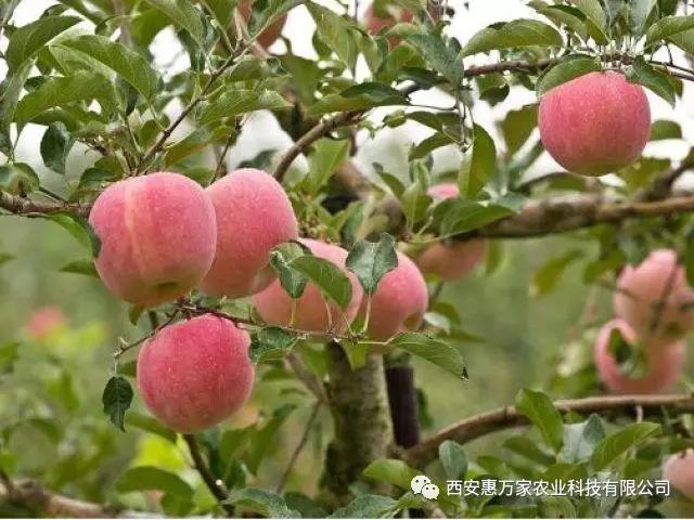 &#112;&#112;&#30005;&#23376;&#40;&#20013;&#22269;&#28216;&#41;&#23448;&#26041;&#22312;&#32447;&#24179;&#21488;